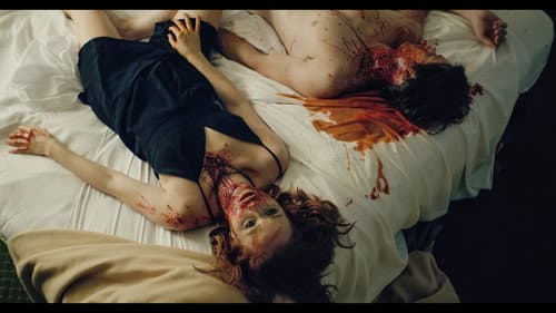 Blood From Stone still