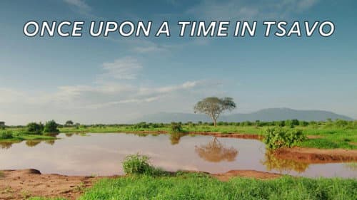 Once Upon a Time in Tsavo still