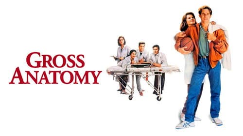 Gross Anatomy still