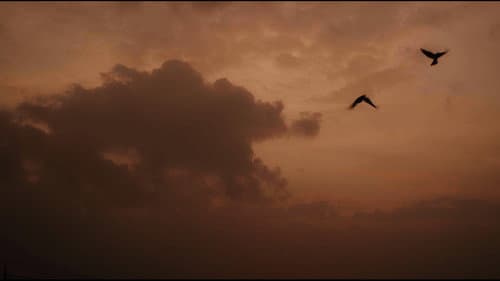 Lighthouse still