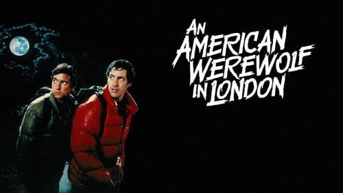 An American Werewolf in London still