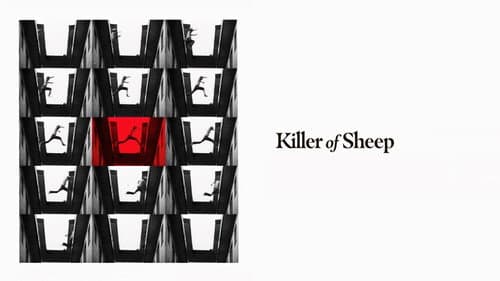 Killer of Sheep still