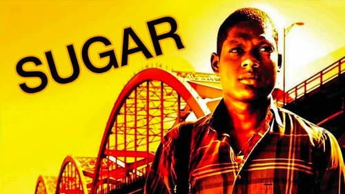 Sugar still