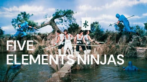 Five Element Ninjas still