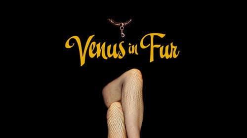 Venus in Fur still