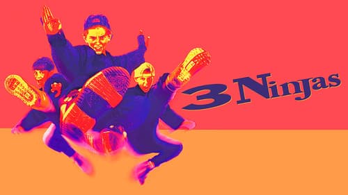 3 Ninjas still