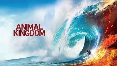 Animal Kingdom still