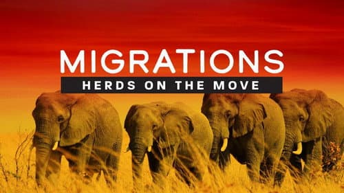 Migrations: Herds on the Move still