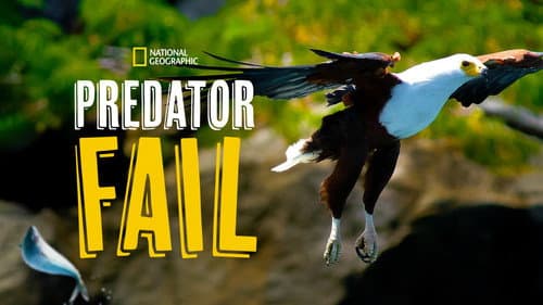 Predator Fail still