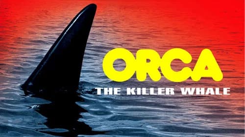 Orca still