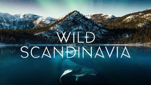 Wild Scandinavia still