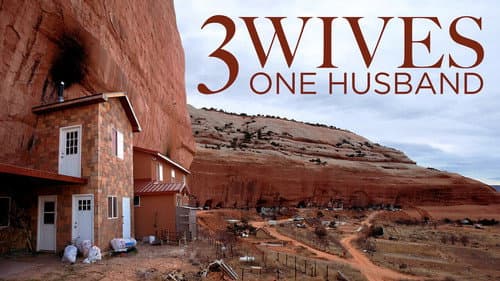 Three Wives, One Husband still