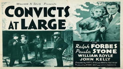 Convicts at Large still