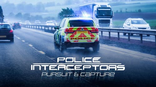 Police Interceptors: Pursuit and Capture still