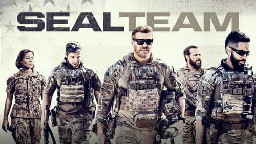 SEAL Team still
