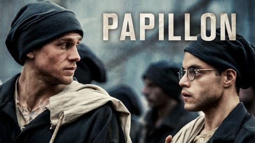 Papillon still