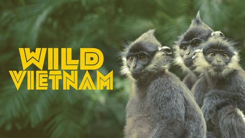 Wild Vietnam still
