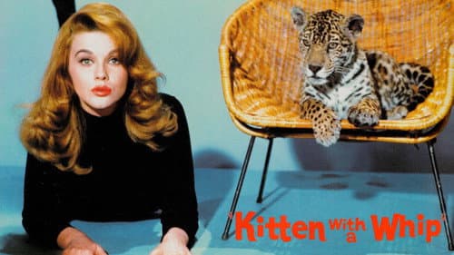 Kitten with a Whip still