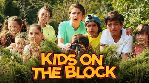Kids on the Block still