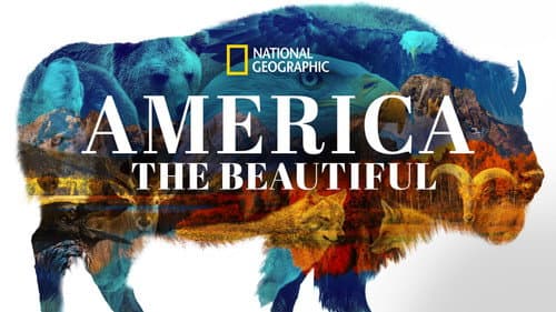 America the Beautiful still