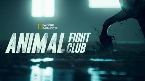 Animal Fight Night still