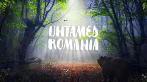 Untamed Romania still