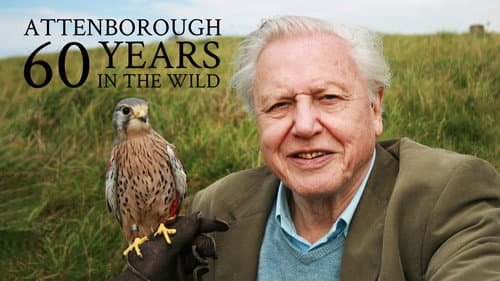 Attenborough: 60 Years in the Wild still