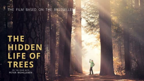 The Hidden Life of Trees still