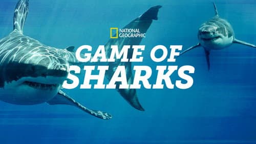 Game of Sharks still
