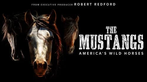 The Mustangs: America's Wild Horses still