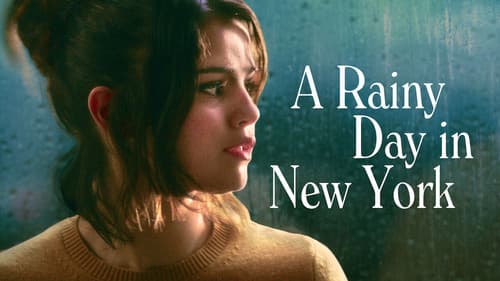 A Rainy Day in New York still