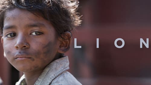 Lion still