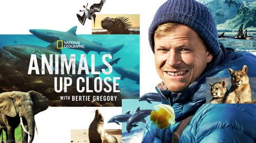 Animals Up Close with Bertie Gregory still