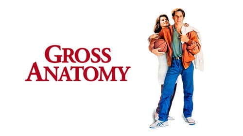 Gross Anatomy still