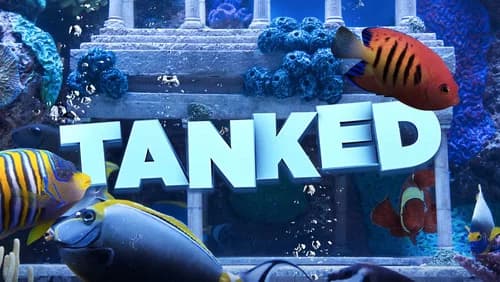 Tanked still