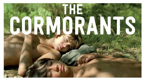 The Cormorants still