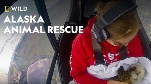 Alaska Animal Rescue still
