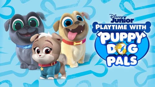 Playtime with Puppy Dog Pals still