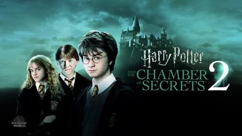 Harry Potter and the Chamber of Secrets still