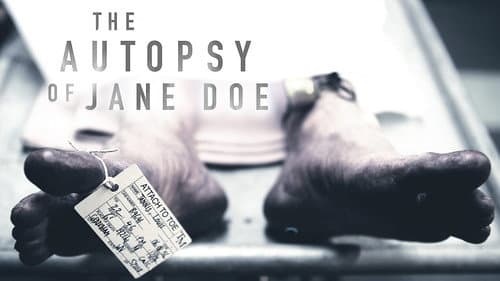 The Autopsy of Jane Doe still