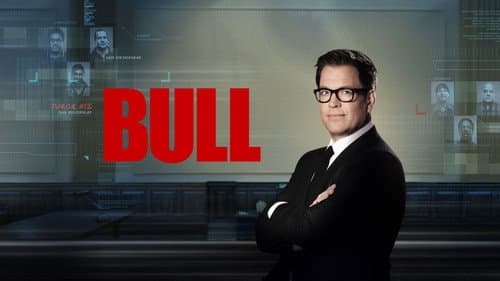Bull still