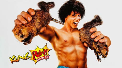 Kung Pow: Enter the Fist still