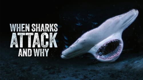 When Sharks Attack... and Why still