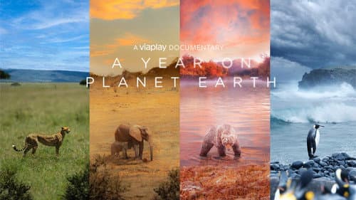 A Year on Planet Earth still