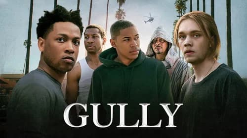 Gully still