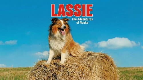 Lassie: The Adventures of Neeka still