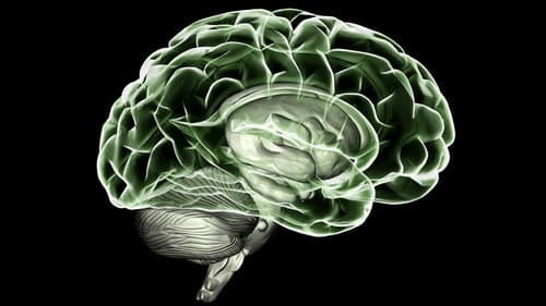 Beautiful Minds - Voyage into the Brain still