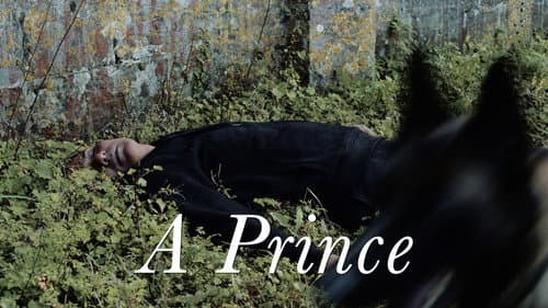 A Prince still