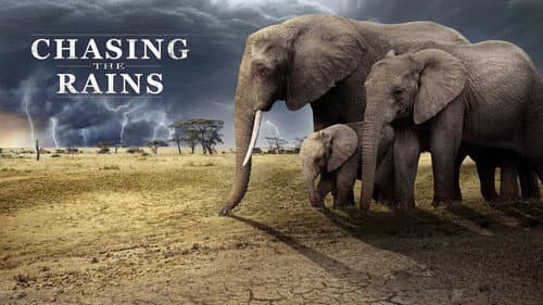Chasing the Rains still