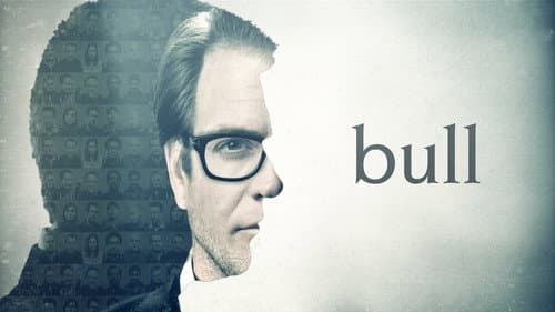 Bull still